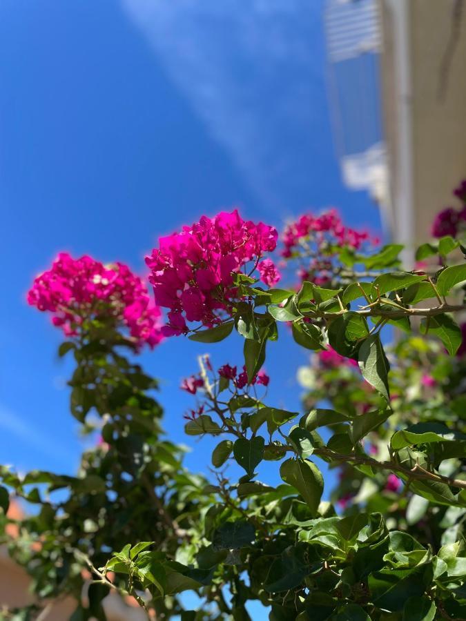 Apartmani Katić Makarska Zewnętrze zdjęcie