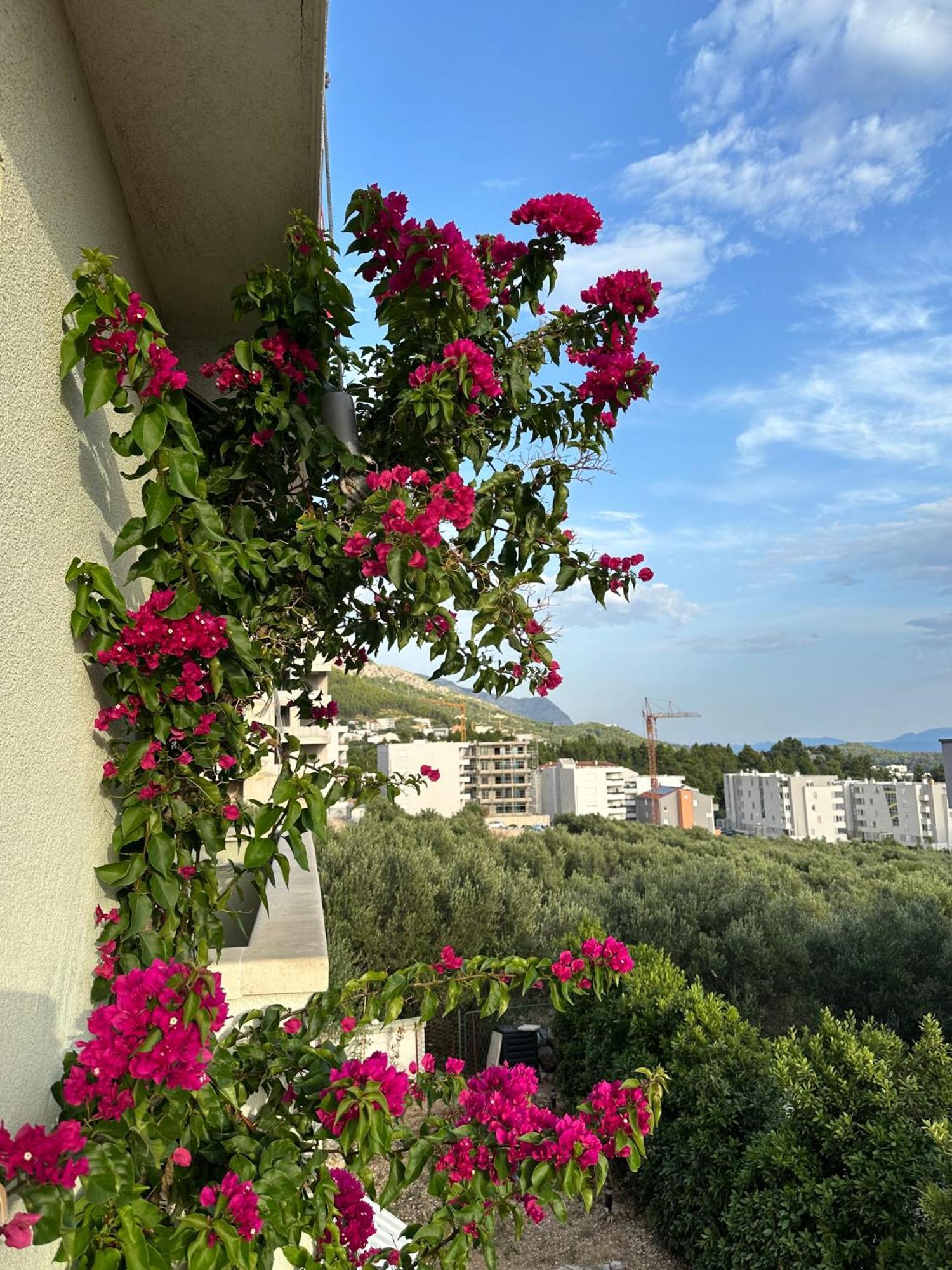 Apartmani Katić Makarska Zewnętrze zdjęcie